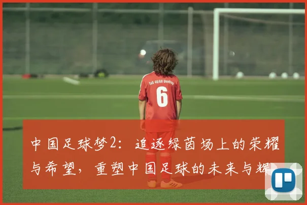 中国足球梦2：追逐绿茵场上的荣耀与希望，重塑中国足球的未来与辉煌