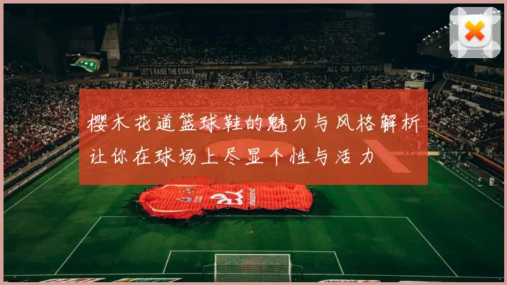 樱木花道篮球鞋的魅力与风格解析让你在球场上尽显个性与活力
