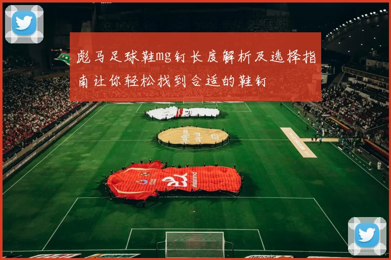 彪马足球鞋mg钉长度解析及选择指南让你轻松找到合适的鞋钉