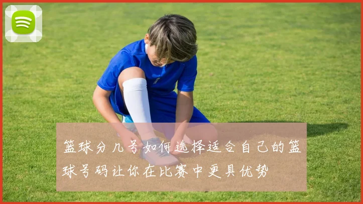 篮球分几号如何选择适合自己的篮球号码让你在比赛中更具优势