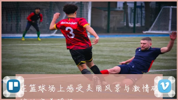 在篮球场上感受美丽风景与激情碰撞的完美瞬间