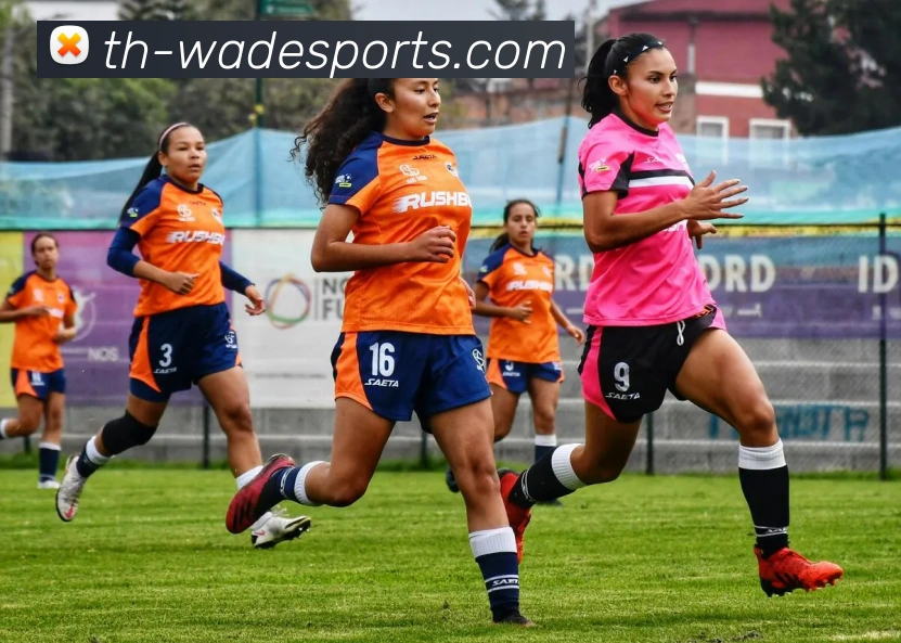 韦德体育平台生态图