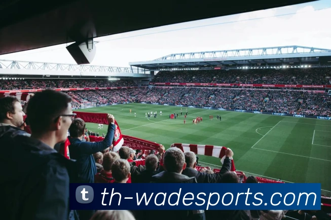 韦德体育全站App